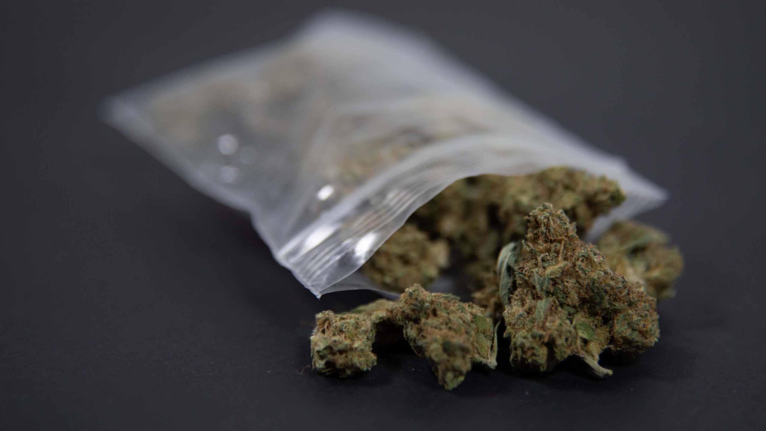 Legalization’s Mixed Impact: Illegal Cannabis Sales Persist in Jersey Shore